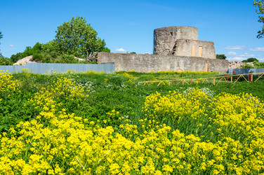 Similar image 22582107