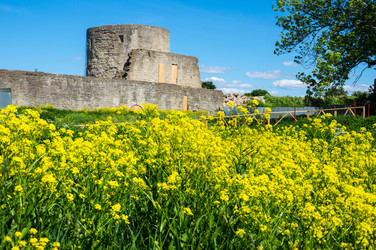 Similar image 22582109