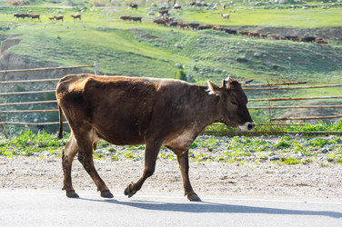 Similar image 22582123