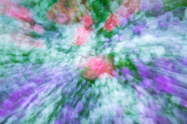 Similar image 22582127