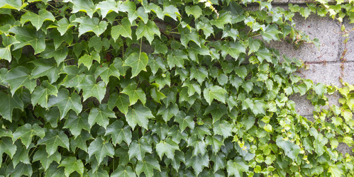 Similar image 22581109