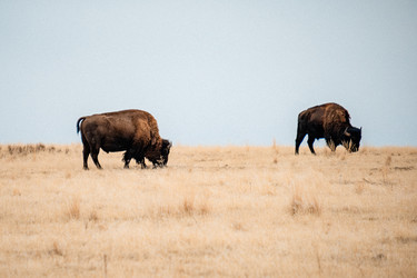 Similar image 22586693