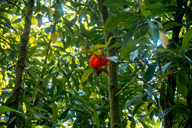 Similar image 22586722