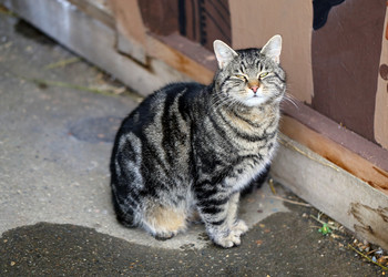 Similar image 22582825