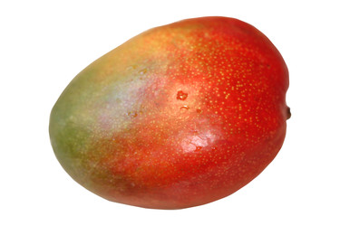 Similar image 22582826