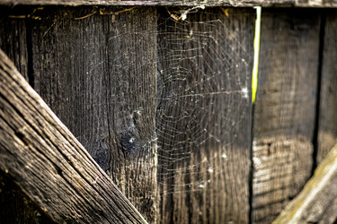 Similar image 22592915