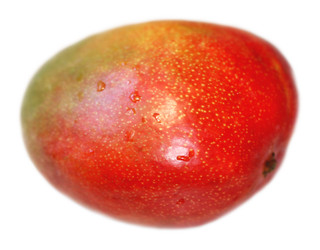 Similar image 22582827