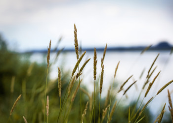 Similar image 22592916