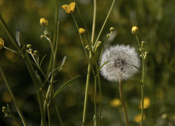 Similar image 22592917