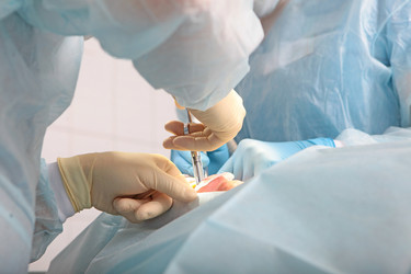 Similar image 22590423