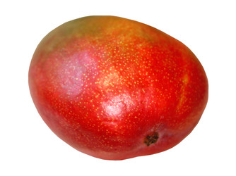 Similar image 22582828