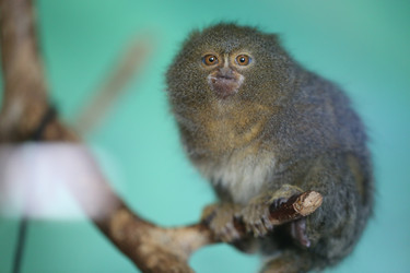 Similar image 22582830