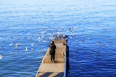 Similar image 22582831