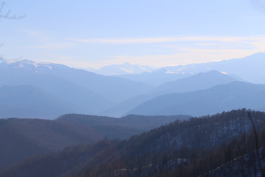 Similar image 22582832