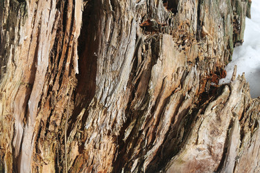 Similar image 22582833