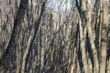 Similar image 22582840