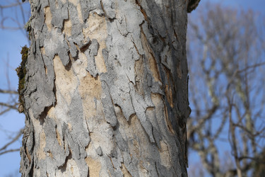 Similar image 22582841