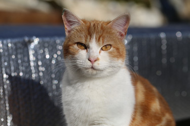 Similar image 22582846