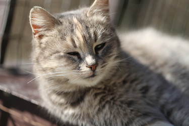 Similar image 22582854