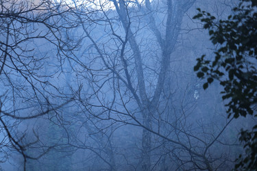 Similar image 22582861