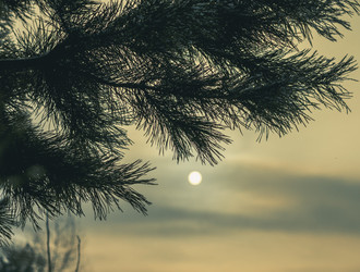 Similar image 22592918