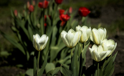 Similar image 22592919