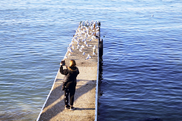 Similar image 22582867