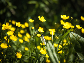 Similar image 22592920