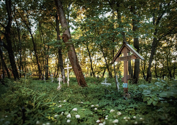 Similar image 22594645