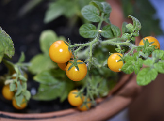 Similar image 22580982