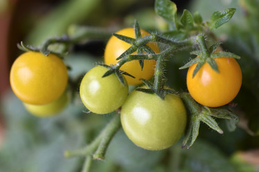 Similar image 22580989