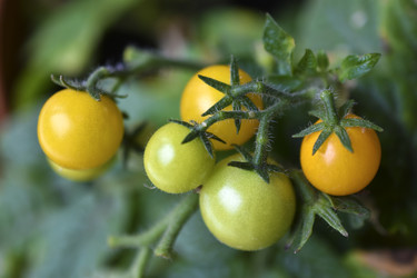 Similar image 22580991