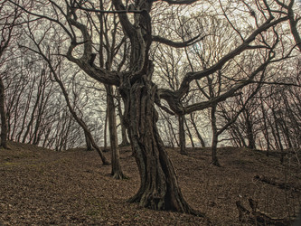 Similar image 22580939