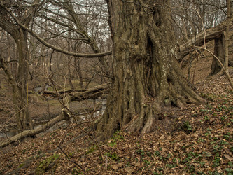 Similar image 22586540