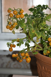 Similar image 22580992