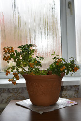 Similar image 22580993