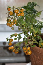 Similar image 22580994