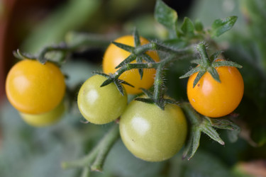 Similar image 22580995