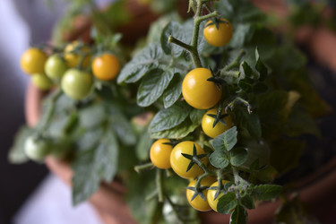 Similar image 22580996