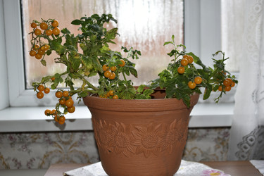 Similar image 22580997