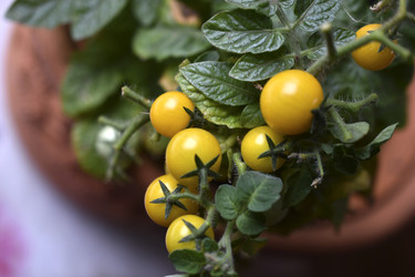 Similar image 22580998