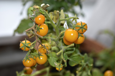 Similar image 22580983