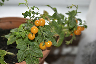 Similar image 22580984