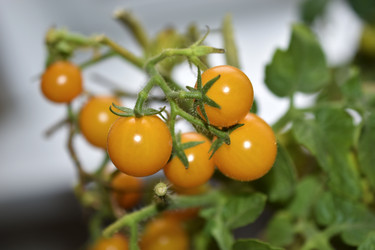 Similar image 22580985