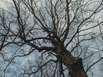 Similar image 22580940