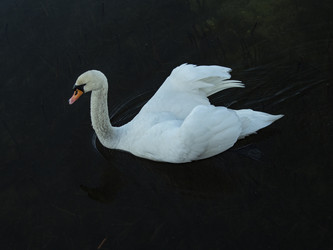 Similar image 22586543