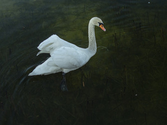 Similar image 22580942