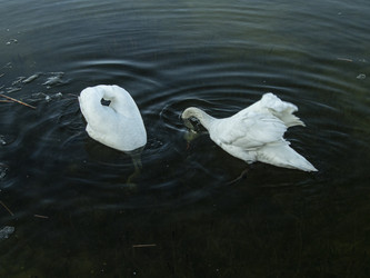 Similar image 22580943