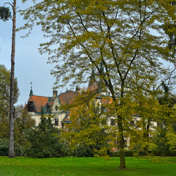 Similar image 22583721