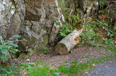 Similar image 22583739